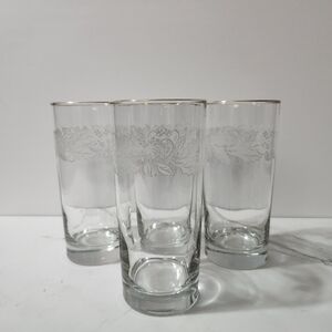 Elegant Glass Tumbler Set with Silver Rim